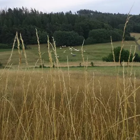 Kellerwald Frankenau