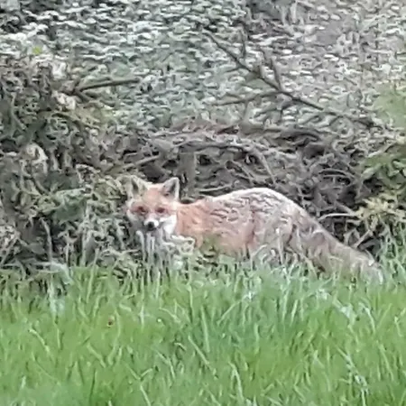 Vakantiehuis Kellerwald Frankenau