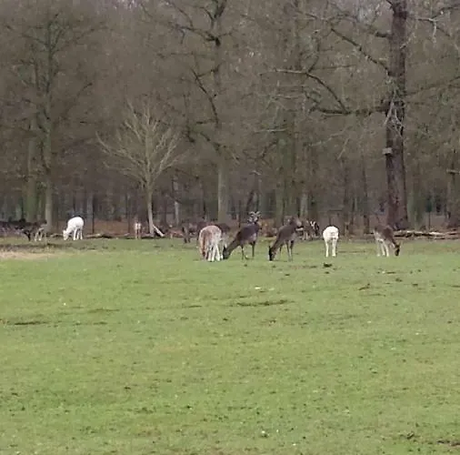 Vakantiehuis Kellerwald *