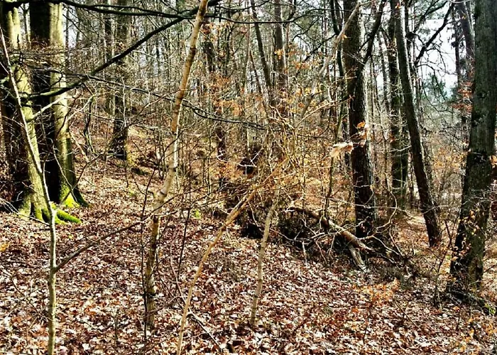 Kellerwald Vakantiehuis *