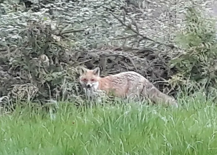 Vakantiehuis Kellerwald Frankenau